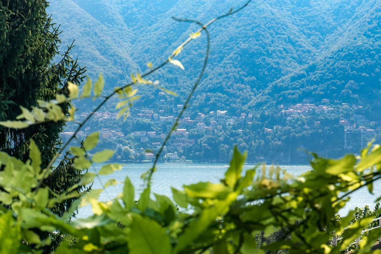 Villa Vittoria - The House Of Travelers Cernobbio Zewnętrze zdjęcie